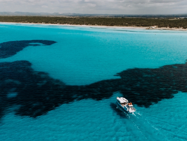 Paseo en barco