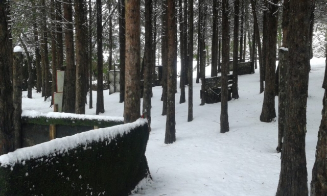 Partida de Gotcha en El Bosque 