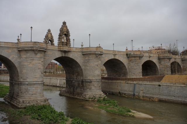 Visita guidata dei ponti del fiume Manzanares