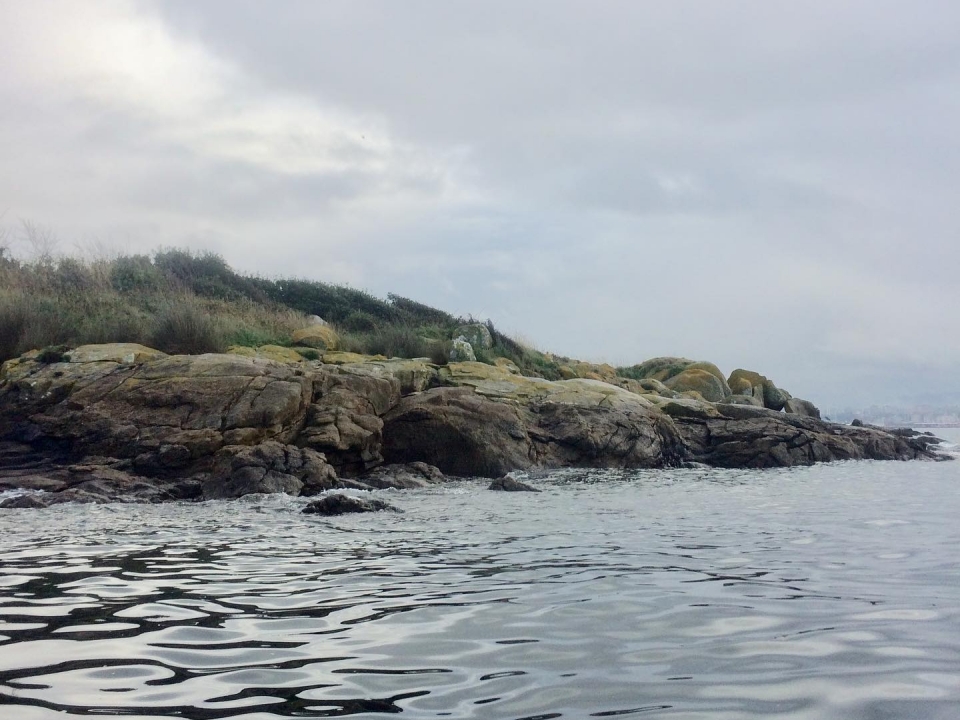 Isla de los Ratones
