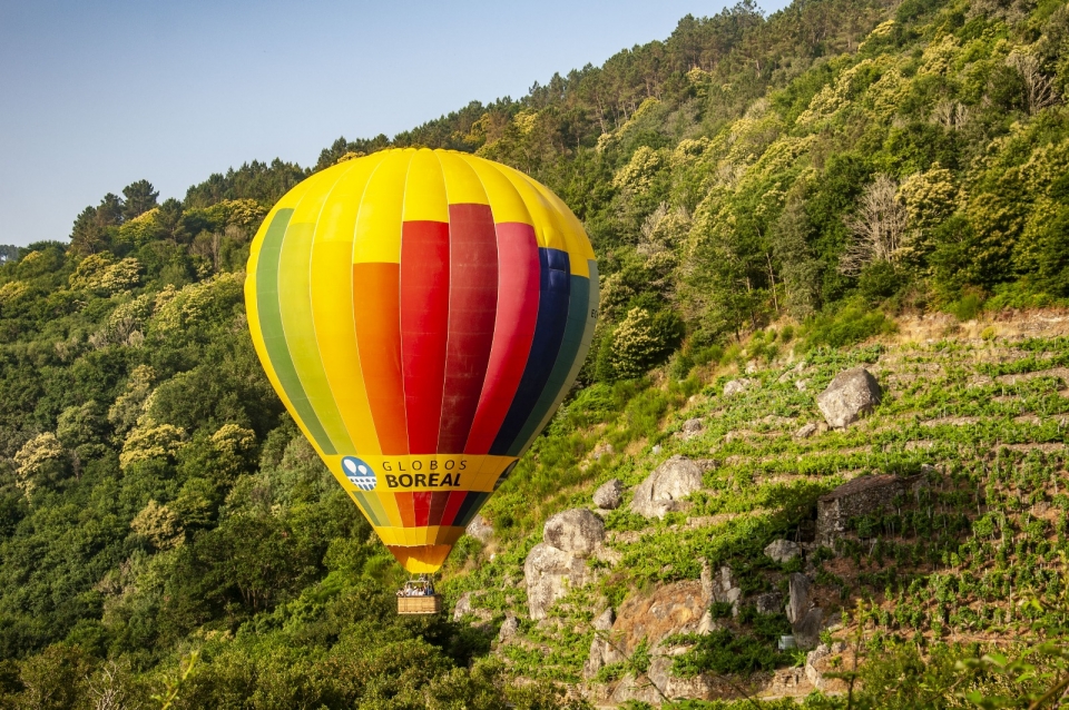 Viñedos de Ribeira Sacra