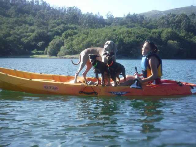  Kayak with dogs through the Eiras reservoir 