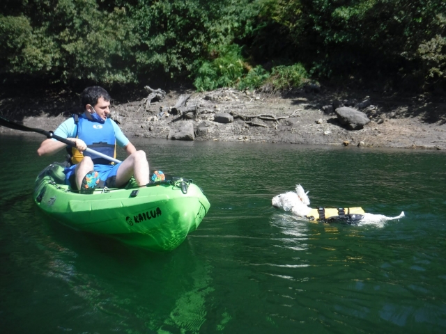  Kayak with your dog