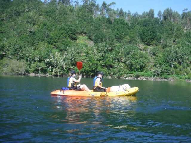  Kayak on the river with dogs 
