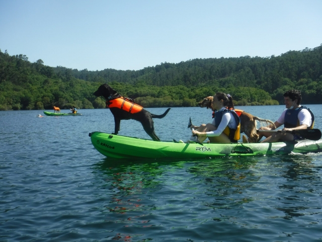  Kayak with your dog along the Oitavén River 