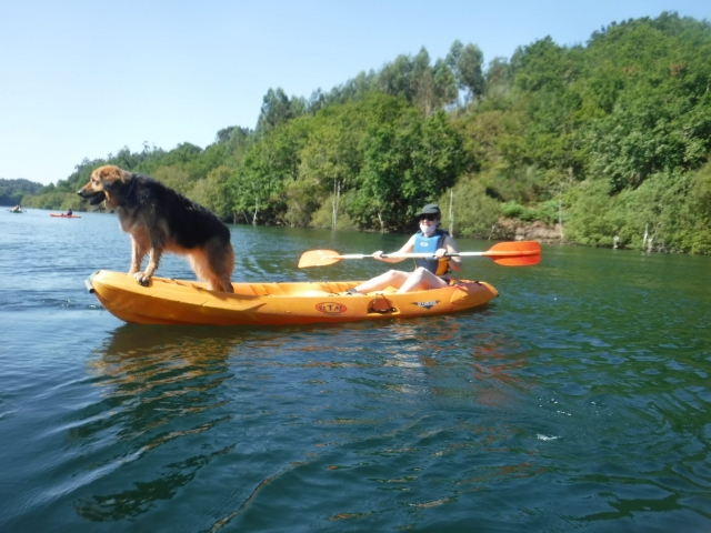  Kayak route with dogs 