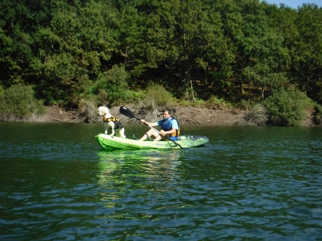  Kayak route with dogs 
