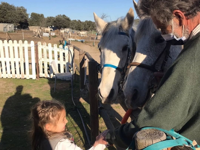 Clases de equitación en la sierra norte de madrid