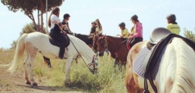 Campamento hípico con excursiones a Montnegre en Santa Susanna 
