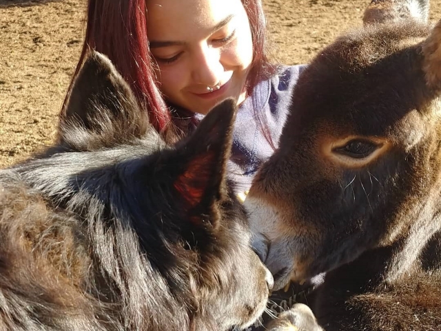 Acampamento equestre em Montnegre por dias 4 horas