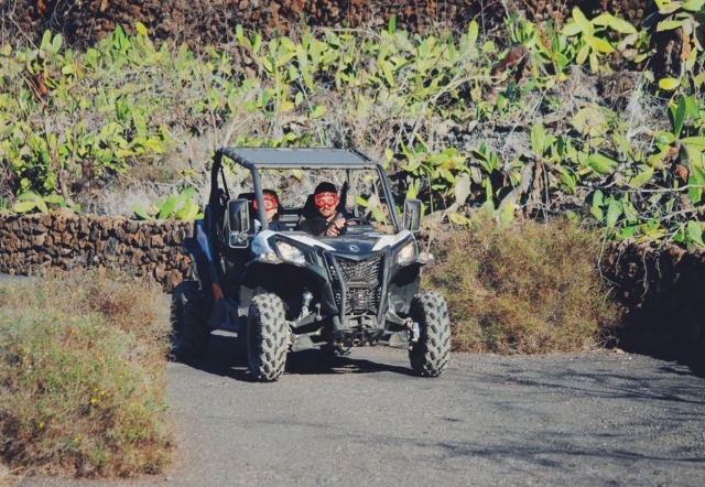  Mit dem Buggy zwischen den Kakteen 