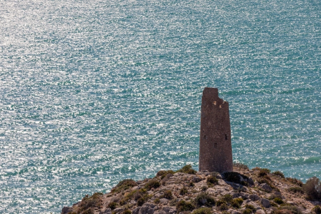  La Torre Colomera on a private boat route 