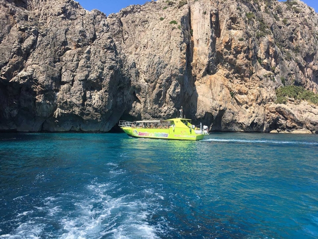  3 -hour boat excursion 