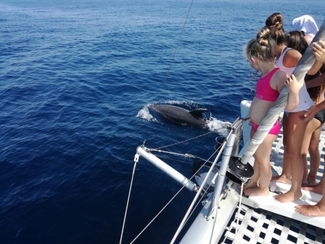  Saída do Camp de Mar em busca de golfinhos 