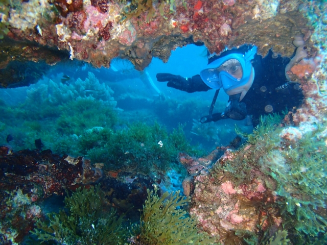 Buceando entre corales por el Mediterráneo