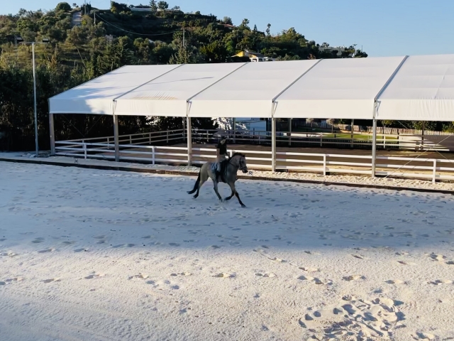 Campamento de verano en Alhaurín de la Torre