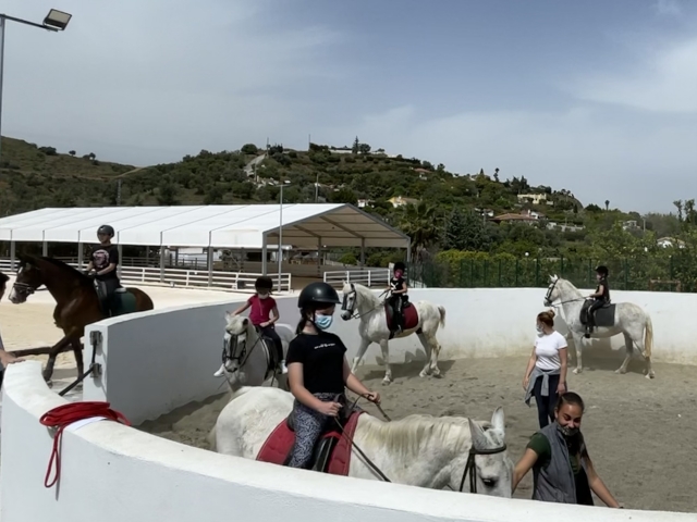Campamento hípico semanal en Alhaurín de la Torre