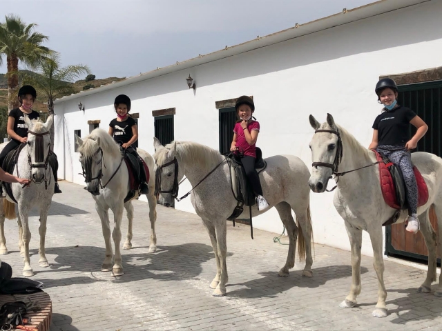 Campamento con caballos en Málaga