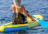 Alquiler de paddle kayak en El Playazo 1 hora