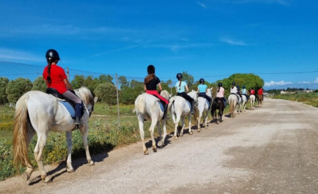 Paseo a caballo por el complejo Endorreico de El Puerto de Santa María