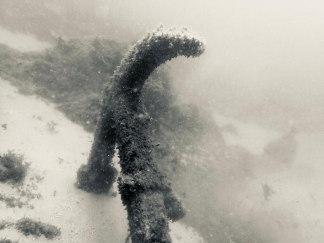 15 世纪在水肺潜水中起锚 