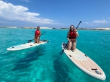 Location de paddle surf depuis la plage d'Illetas, 1h