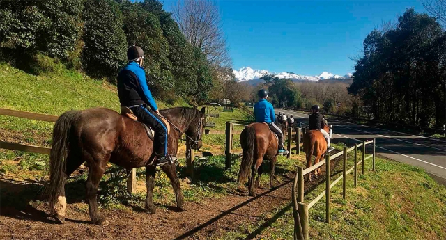  Reitroute für Kinder mit Blick auf die Picos de Europa 