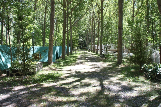  Camp für Erwachsene in Zelten 