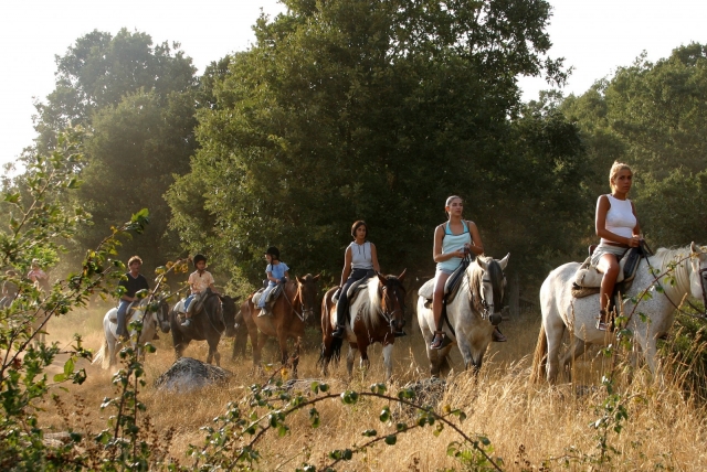  Reitrouten für Erwachsene im Camp 