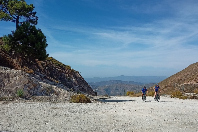 Passeio de bicicleta por Málaga 