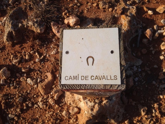 Cami de Cavalls