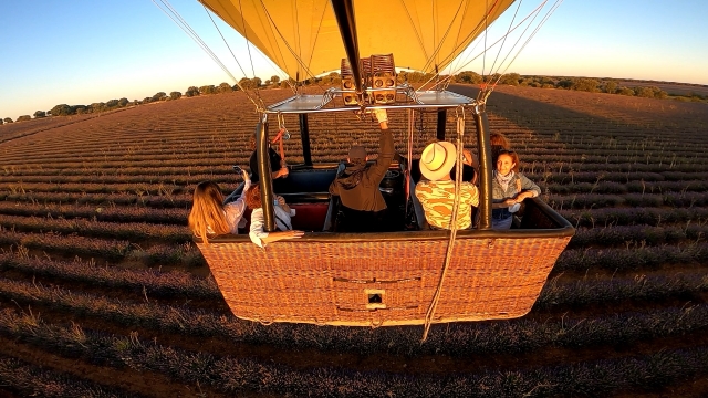  Überqueren von Lavendelfeldern mit dem Ballon 