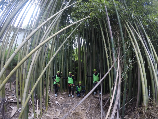  Bambu Sima del Diablo 