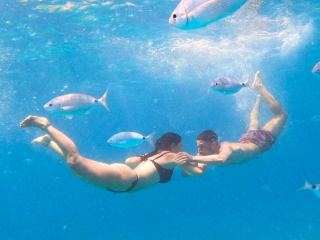 Avistamiento de cetáceos en Isla de Lobos Adultos