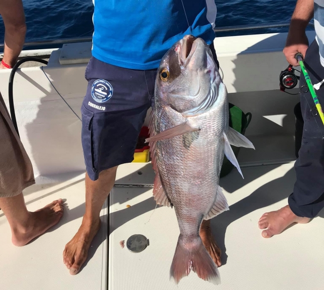 Captura de pescados del norle de Fuerteventura