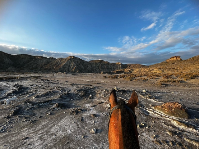 Ruta a caballo por el Desierto de Tabernas