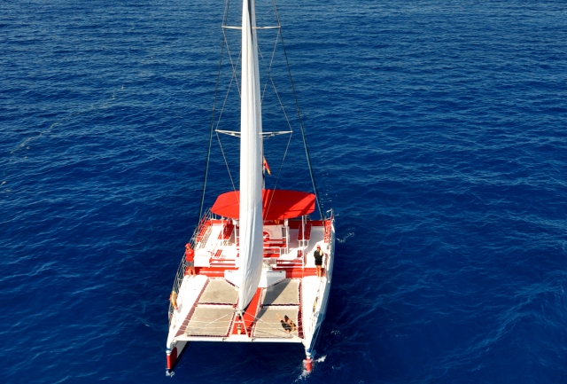 Catamarán en busca de delfines
