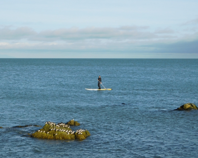  Stan Up Paddle Caleta de Fuste
