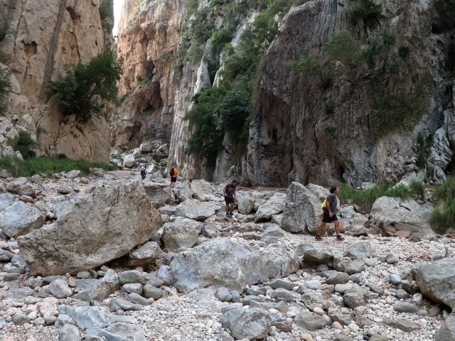  Itinéraire de randonnée dans la Sierra de Tramontana 