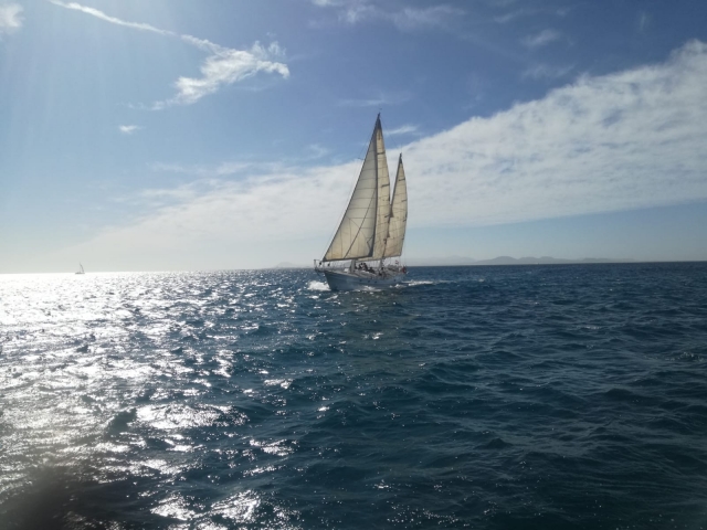 Navegar num veleiro 