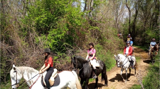  Passeggiata a cavallo di gruppo 