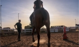 Clase de equitación grupal San Miguel del Camino