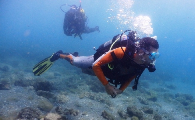  Diving at shallow depths in Almuñécar 