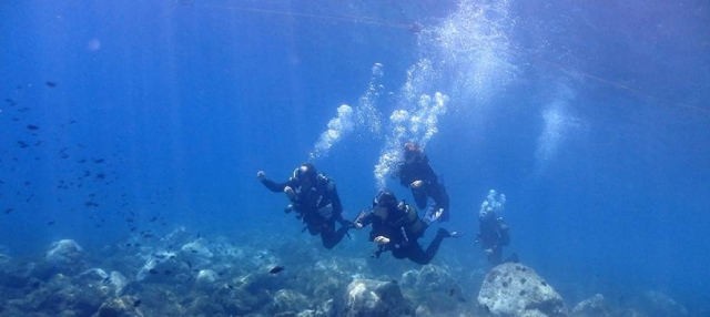  First time diving in La Herradura 