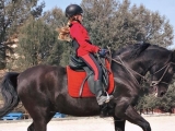 Clase de equitación en Montserrat desde los 9 años