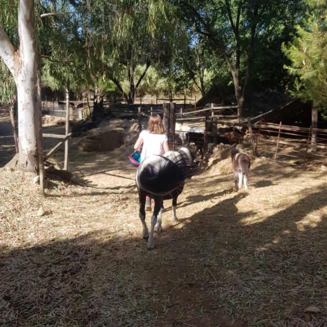  Giro in pony per bambini Córdoba 