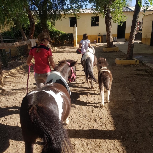  Uscita con pony Córdoba 