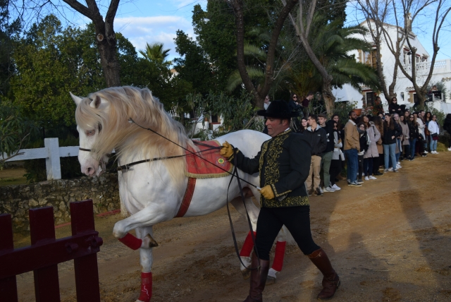 Exhibición ecuestre