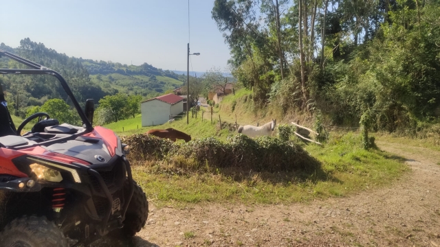 Con el buggy por la montaña