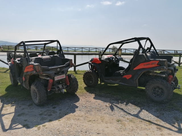 Los buggies para salir de paseo